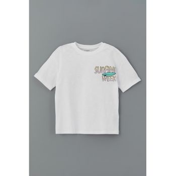 Tricou regular fit cu imprimeu grafic