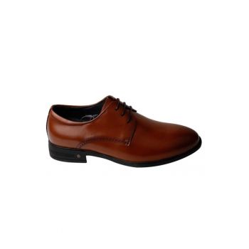 Pantofi barbati  F066-020 Maro - - Asortie