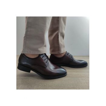 Pantofi Eleganti Barbati  23606 Maro Florantic - Brown