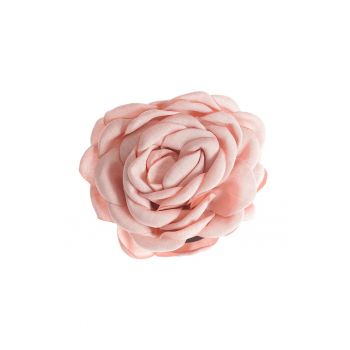 Cleste de par floare roz -  Paris