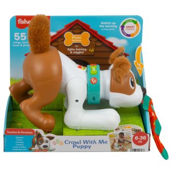 FISHER PRICE CATELUS CRAWL WITH ME