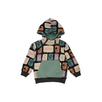 Hanorac cu gluga - model Color Block -  - Discovery - Antracit - pentru baieti