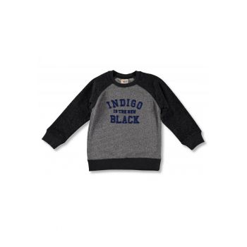 Pulover din bumbac - baieti - 33771