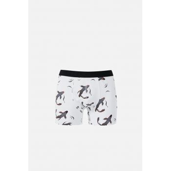 Lenjerie Intima De Barbati Alb Modern Fit Cl1068444