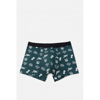 Lenjerie Intima De Barbati Verde Modern Fit Cl1066125