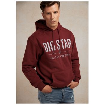 Hanorac regular fit cu imprimeu logo Ashlyno