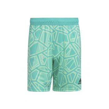 Pantaloni scurti  Poliester - Verde