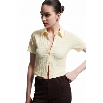 Camasa crop texturata